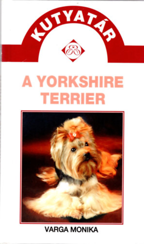 Varga Mnika - A yorkshire terrier