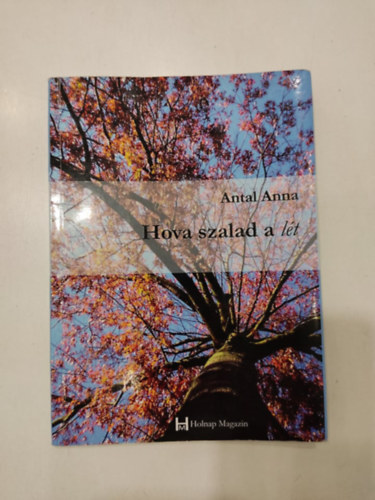 Antal Anna - Hova szalad a lt