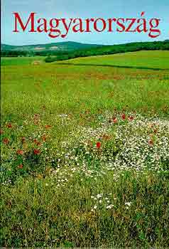 Szelényi-Lázár-Székely - Magyarország