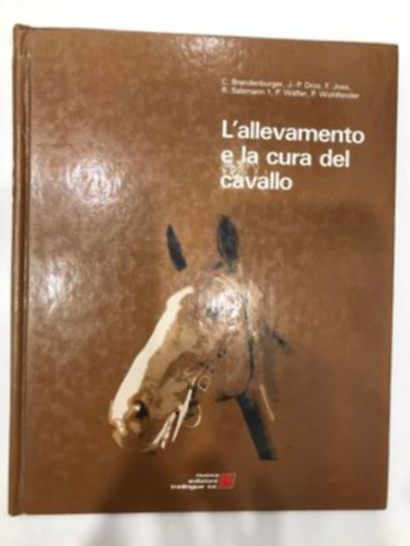 L'allevamento e la cura del cavallo