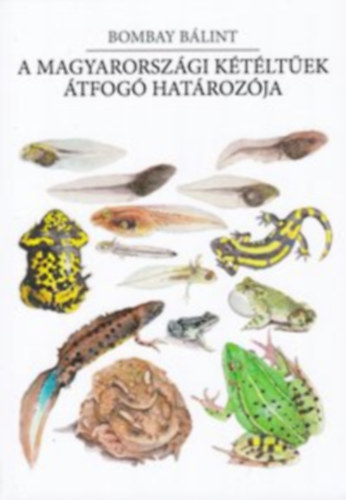 Bombay Bálint - Magyarországi kétéltűek átfogó határozója