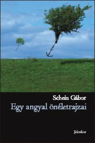 Schein Gábor - Egy angyal önéletrajzai