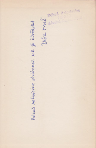 J�sz Dezs� - Tan�csmagyarorsz�gt�l a Pireneusokig - dedik�lt