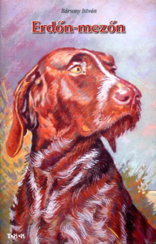 Brsony Istvn - Erdn, mezn