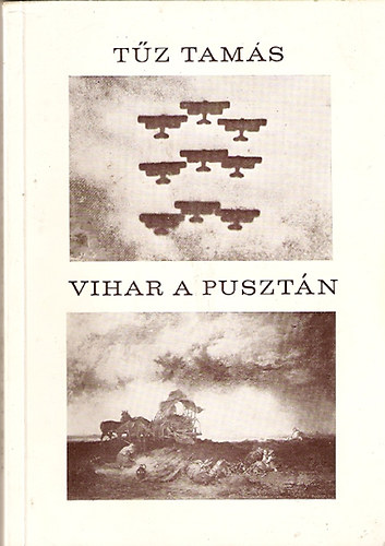 T�z Tam�s - Vihar a puszt�n