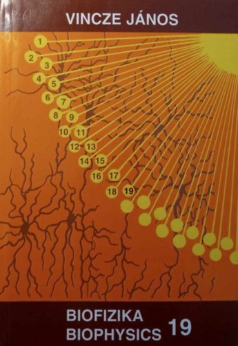 Vincze J�nos - Biofizika 19 Biophysics
