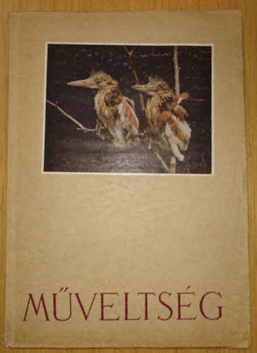 Kaffka Margit - M�velts�g - Kaffka Margit kiadatlan napl�ja