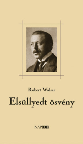 Robert Wasler - Elsüllyedt ösvény