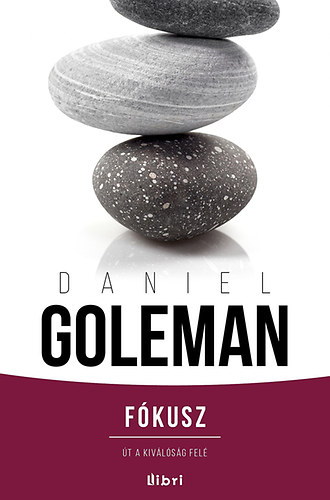 Daniel Goleman - Fkusz