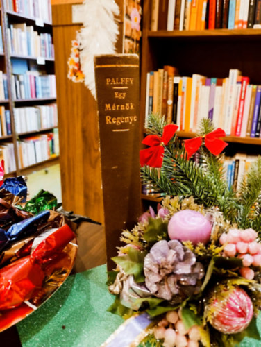 P�lffy Albert - Egy m�rn�k reg�nye. K�t k�tet egyben.