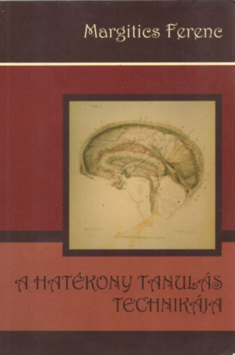 Margilitics Ferenc - A hat�kony tanul�s technik�ja
