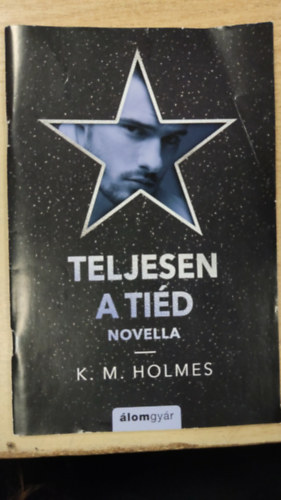 K. M. Holmes - Teljesen a ti�d - novellaf�zet