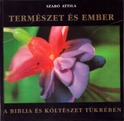 Termszet s az ember - A Biblia s kltszet tkrben