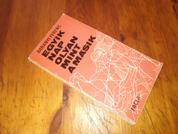 B�r�nyi Ferenc - egyik nap olyan mint a m�sik