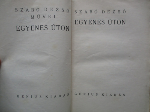 Szabó Dezső - Egyenes úton