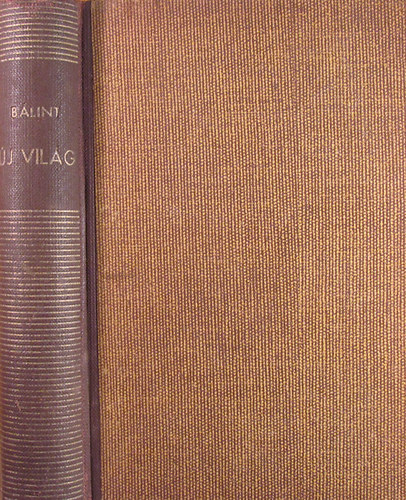 Bálint Jenő - Új világ - A mechanokrácia