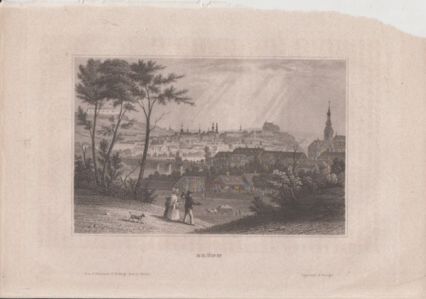 Brünn (Brno város, Csehország, Európa) (16x23,5 cm lapméretű eredeti acélmetszet, 1856-ból)
