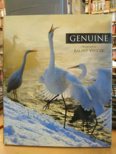 Vincze Blint - Genuine (angol nyelv)