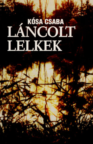 K�sa Csaba - L�ncolt lelkek