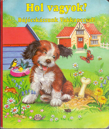 Wolfgang Schleicher-Ray Cresswell-Rig Bla - Hol vagyok? Bjcskzzunk Vakkanccsal!