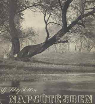 Ifj. Tildy Zoltán - Napsütésben