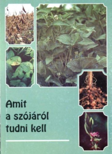 Dr. Balik� S�ndor - Amit a sz�j�r�l tudni kell