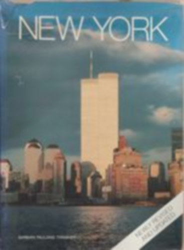 New York - Introduction the big apple cityscapes peolple lights glimpses