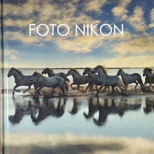 Foto Nikon 12