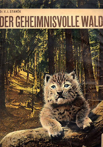 V.J. Stanek - Der Geheimnisvolle Wald