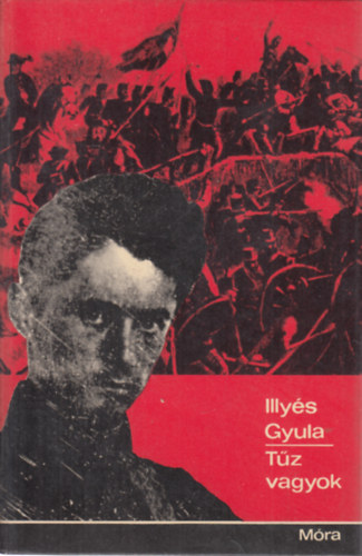 Illyés Gyula - Tűz vagyok... (második kiadás) - Néhány fekete-fehér reprodukciót tartalmaz.