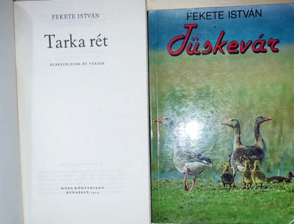 Fekete Istvn - 2db Fekete Istvn regny - Tskevr, Tarka rt