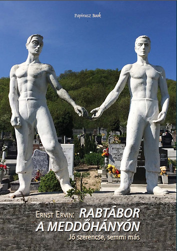 Ernst Ervin - Rabt�bor a medd�h�ny�n