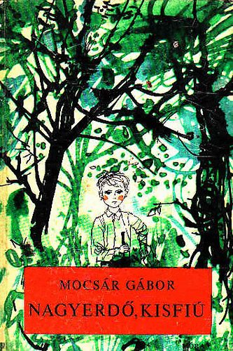 Mocs�r G�bor - Nagyerd�, kisfi�