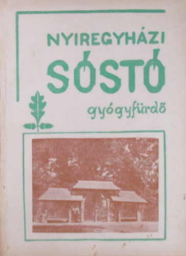 Duli Antal - Ny�regyh�zi S�st�-Gy�gyf�rd�