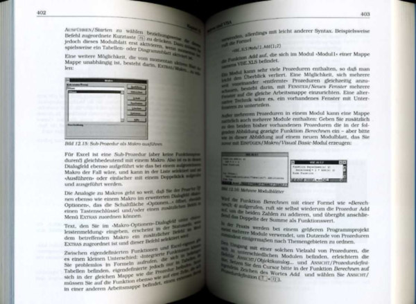 Das Programmierbuch - Acces 7 f�r Windows 95
