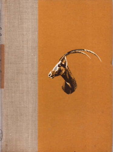 Szchenyi Zsigmond - Hengerg homok - Sivatagi vadsznapl