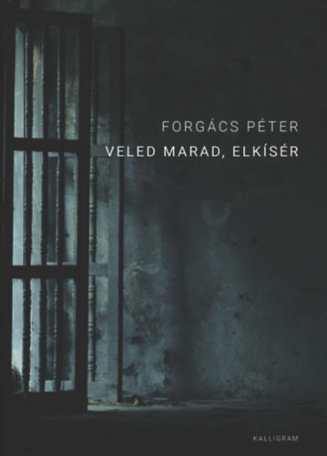 Forg�cs P�ter - Veled marad, elk�s�r