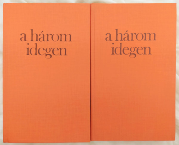 Budai Katalin Ruttkay Kálmán - a három idegen - XIX.századi angol elbeszélők I.-II.