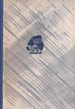 Serge Joncour - A bálvány