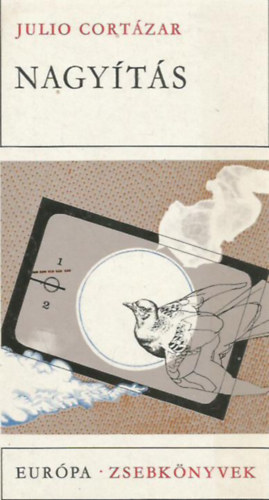 Julio Cortázar - Nagyítás