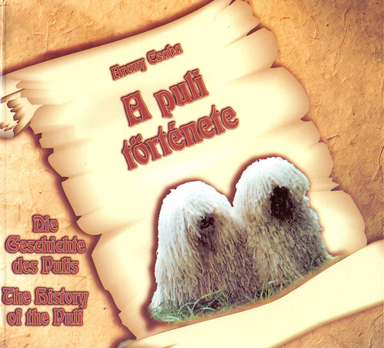 Arany Csaba - A puli trtnete