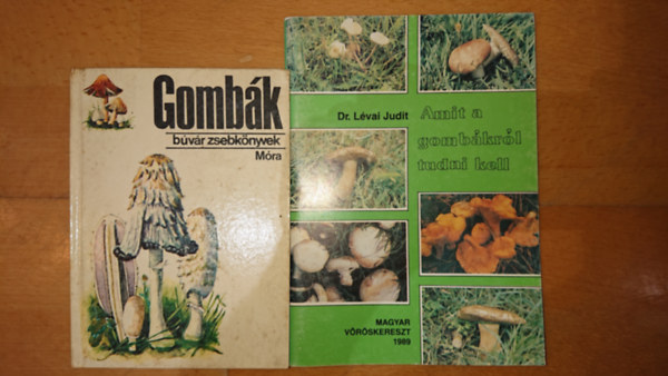 Dr. Lvai Judit - 2 alapknyv a gombkrl: Gombk (Bvr zsebknyvek), Amit a gombkrl tudni kell