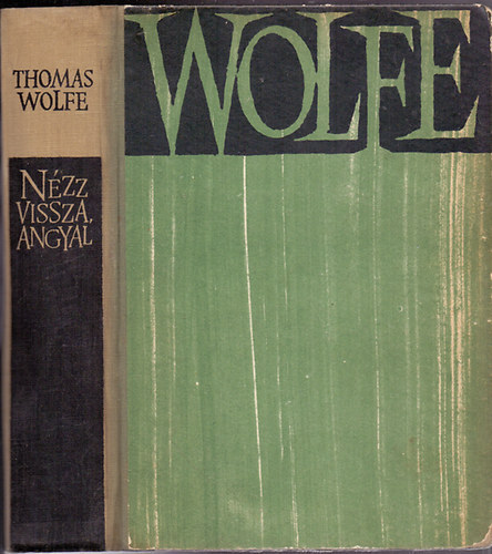 Thomas Wolfe - N�zz vissza angyal
