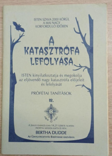 Bertha Dudde - A katasztr�fa lefoly�sa - Pr�f�tai tan�t�sok 12.