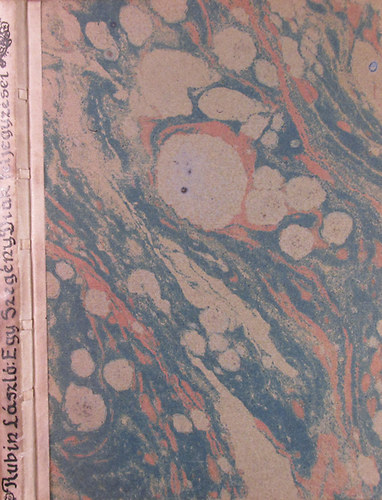 Rubin L�szl� - Egy szeg�ny di�k feljegyz�sei (1912-1918)