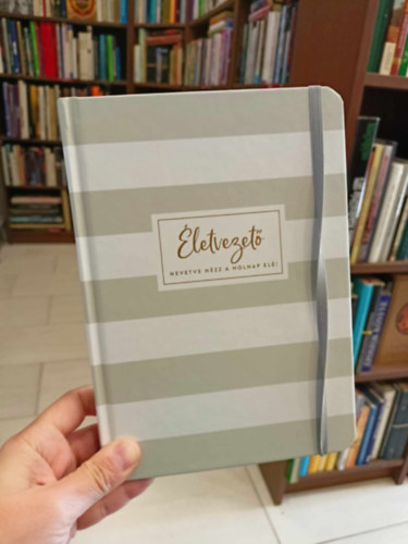 Hegyesi Zita Kis Brigitta - �letvezet�