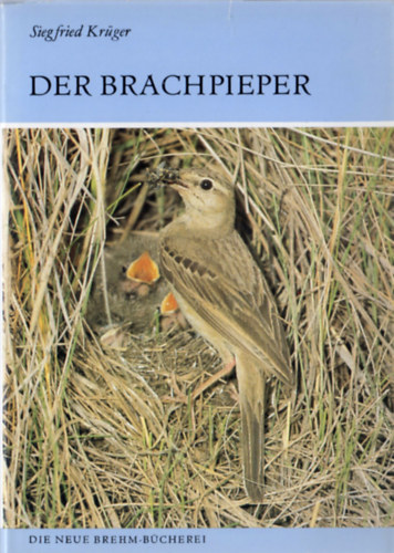 Siegfried Kr�ger - Der Brachpieper (Anthus campestris)