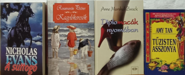 Anne Marshall Zwack, Nicholas Evans, Amy Tan Rosamunde Pilcher - Romantikus knycsomag