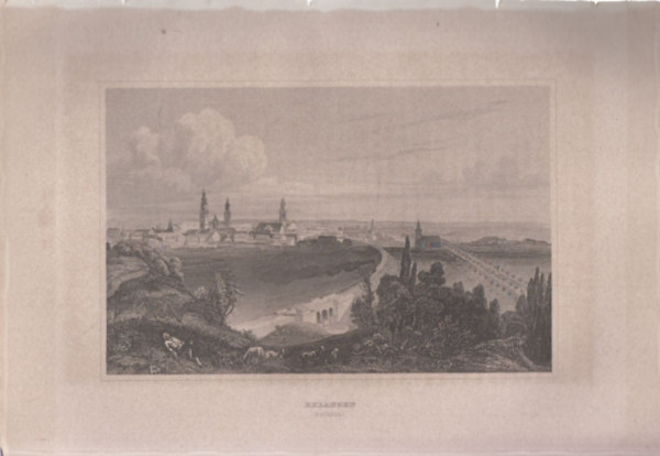 Erlangen (Bavaria) (Erlangen, Bajorosz�g tartom�ny, N�metorsz�g, Eur�pa) (16x23,5 cm lapm�ret� eredeti ac�lmetszet, 1856-b�l)