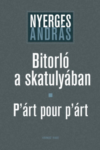 Nyerges András - Bitorló a skatulyában